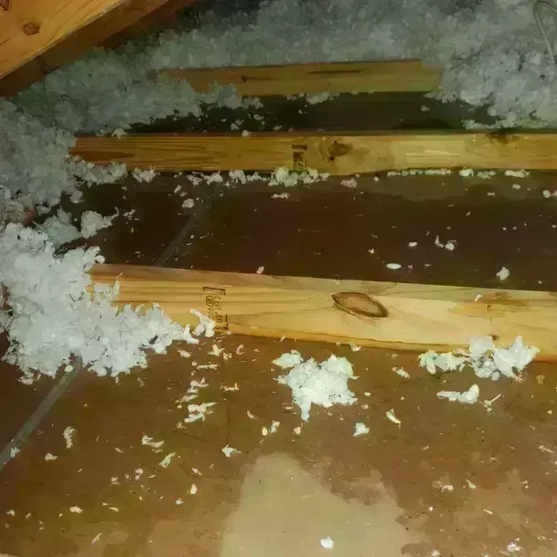 Attic Water Damage in La Croft, OH